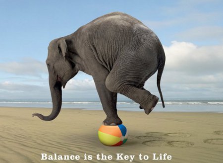 Balans, nyckeln till lycka?